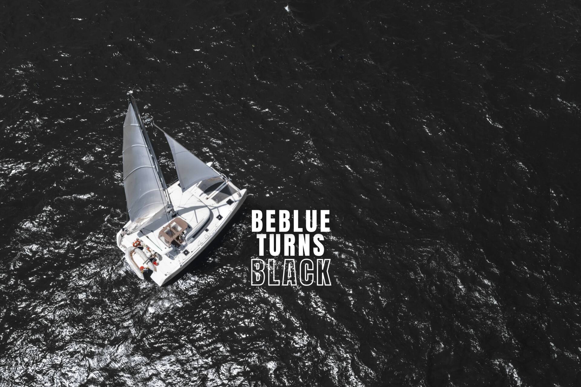 The Black Friday Week has arrived!